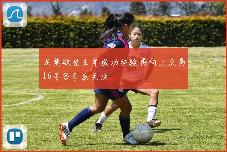 灰熊欲借去年成功经验再向上交易16号签引发关注