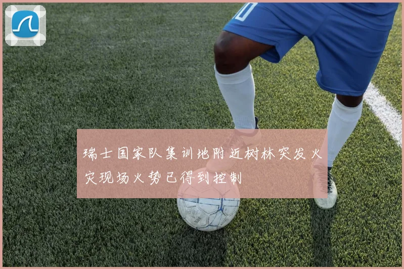 瑞士国家队集训地附近树林突发火灾现场火势已得到控制